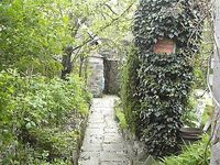 Jardin1